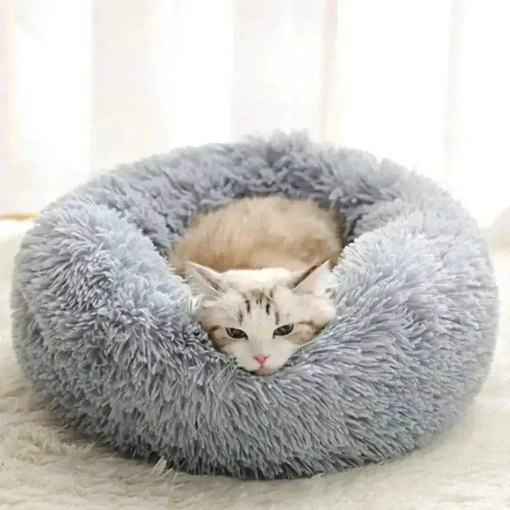 Calming Cat Cushion – Comfort & Security