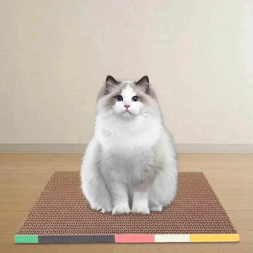 Cardboard cat scratcher