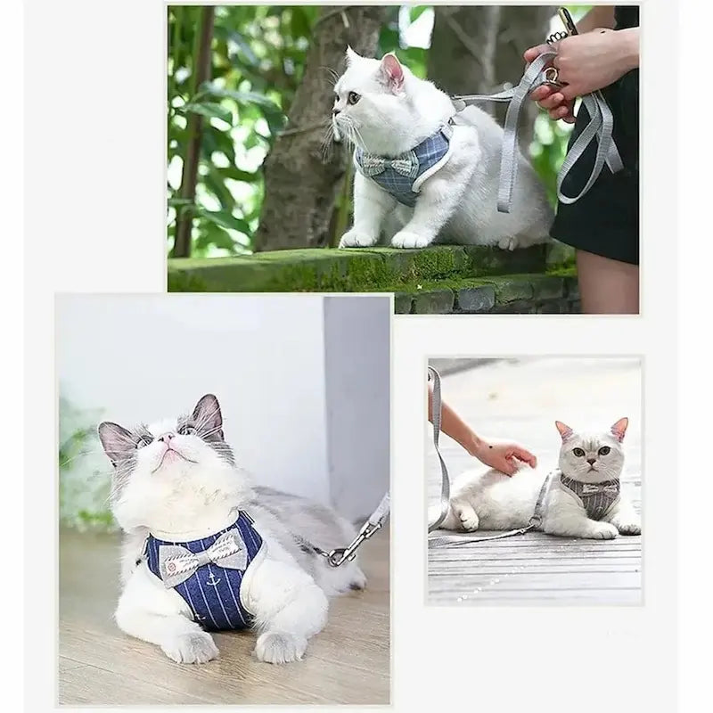 Cat bow tie harness