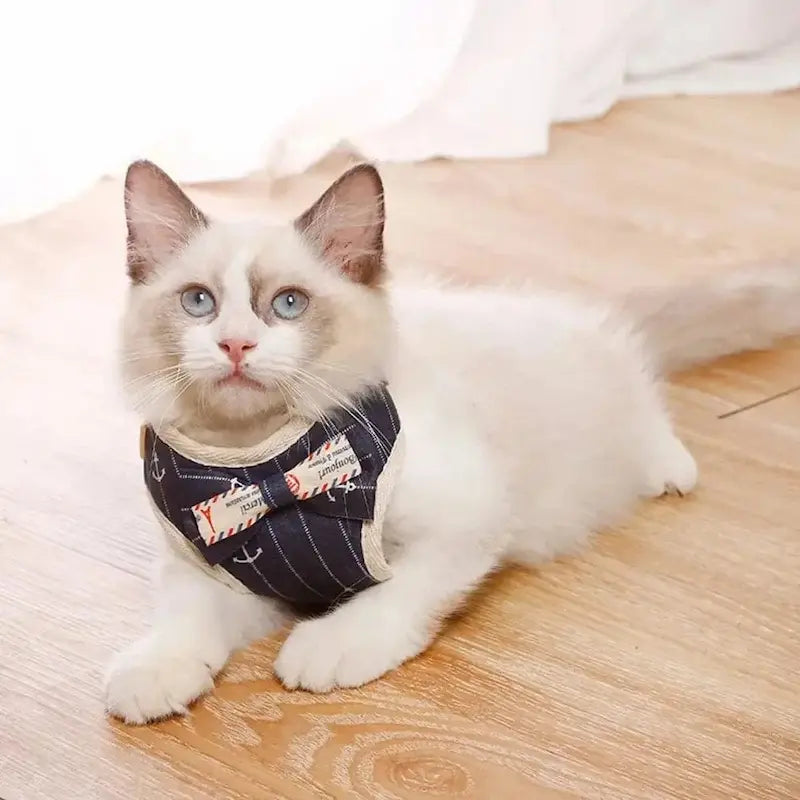 Cat bow tie harness