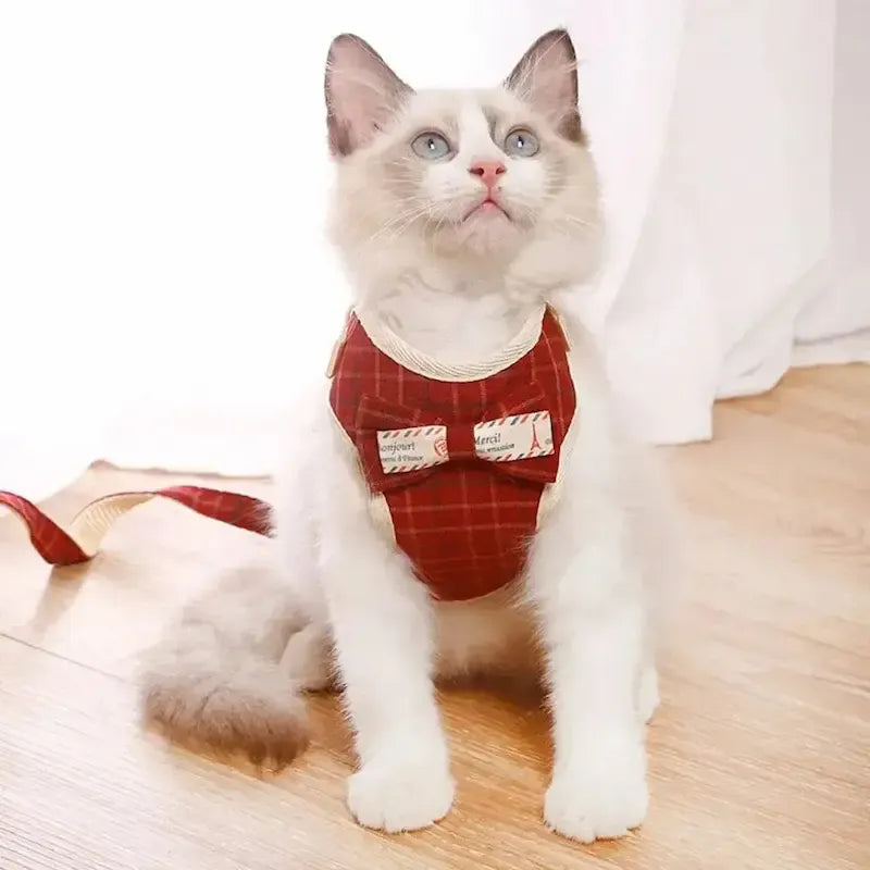 Cat bow tie harness