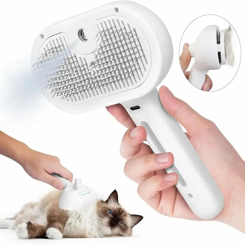 Cat brush with spray