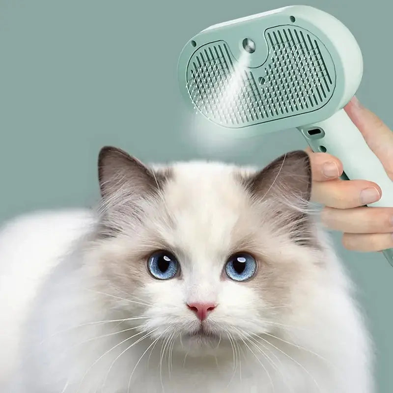 Cat brush with spray
