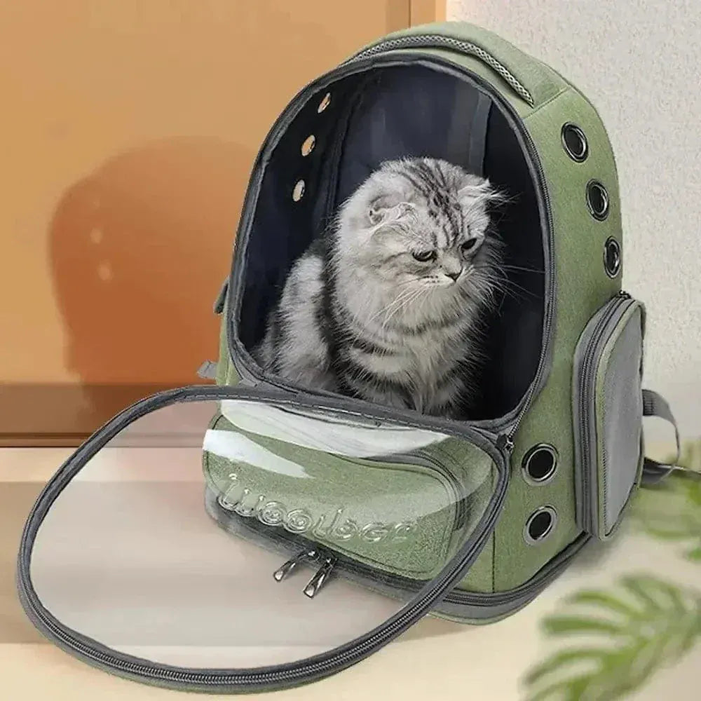 Cat Capsule Backpack