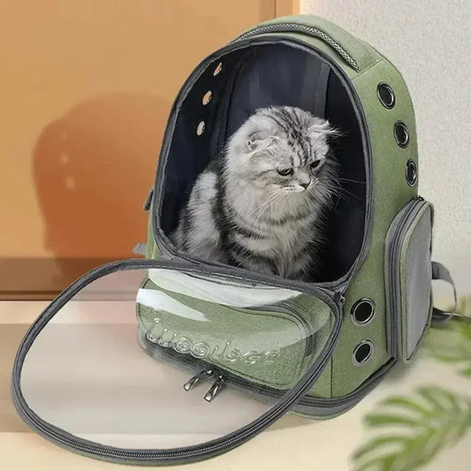Cat Capsule Backpack