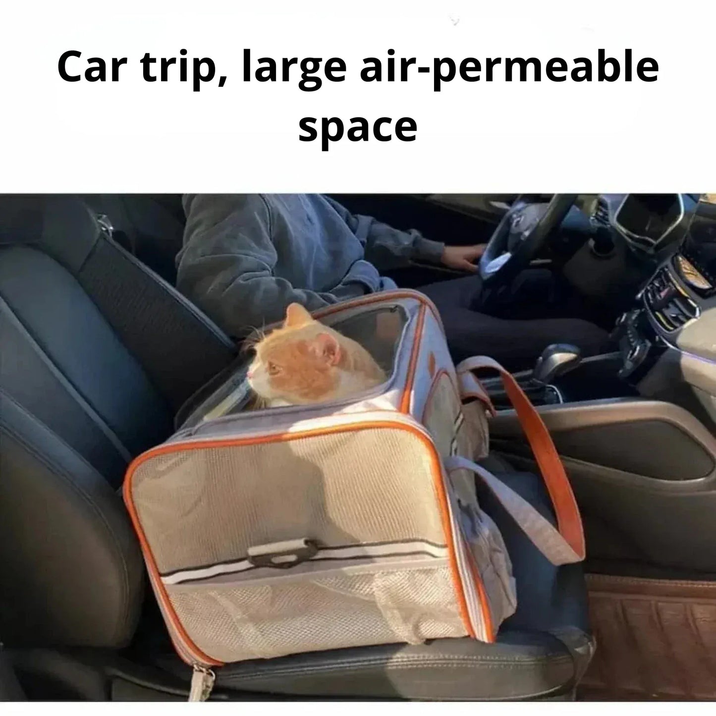 Cat Carrier Bag 10 kg