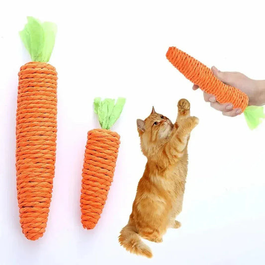 Cat carrot toy