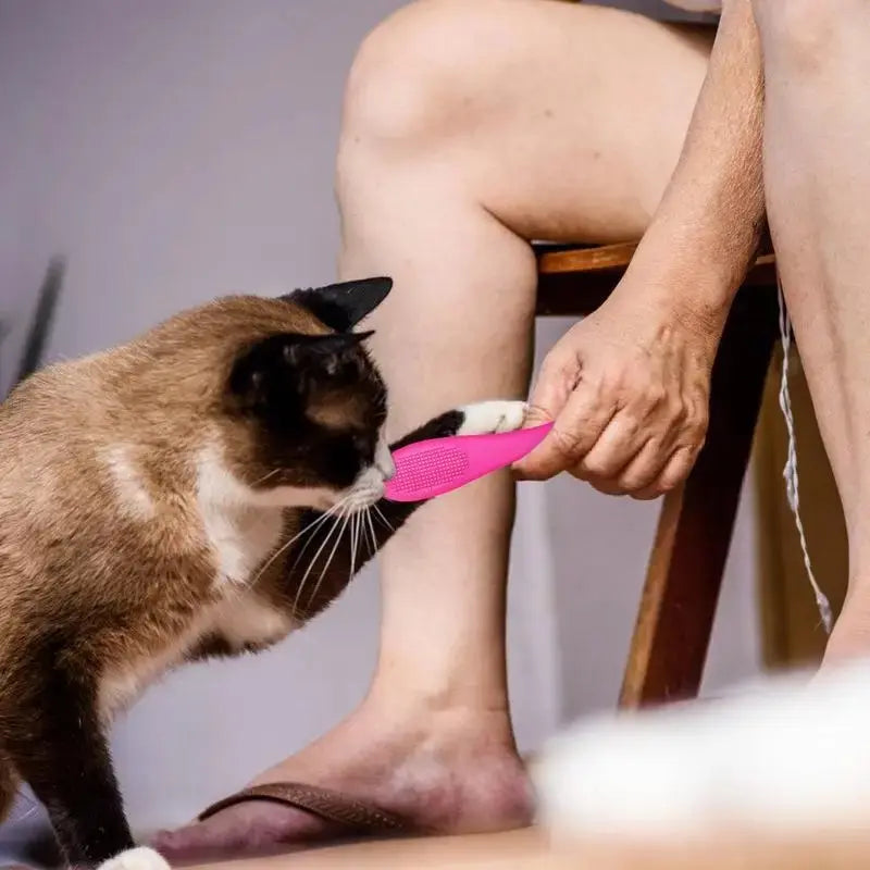 Cat chin brush