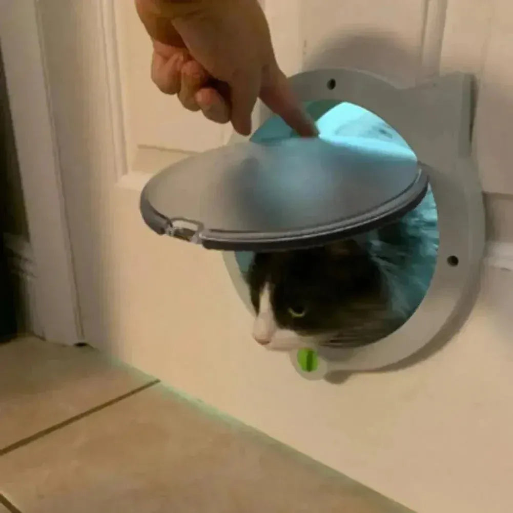 Cat door for home