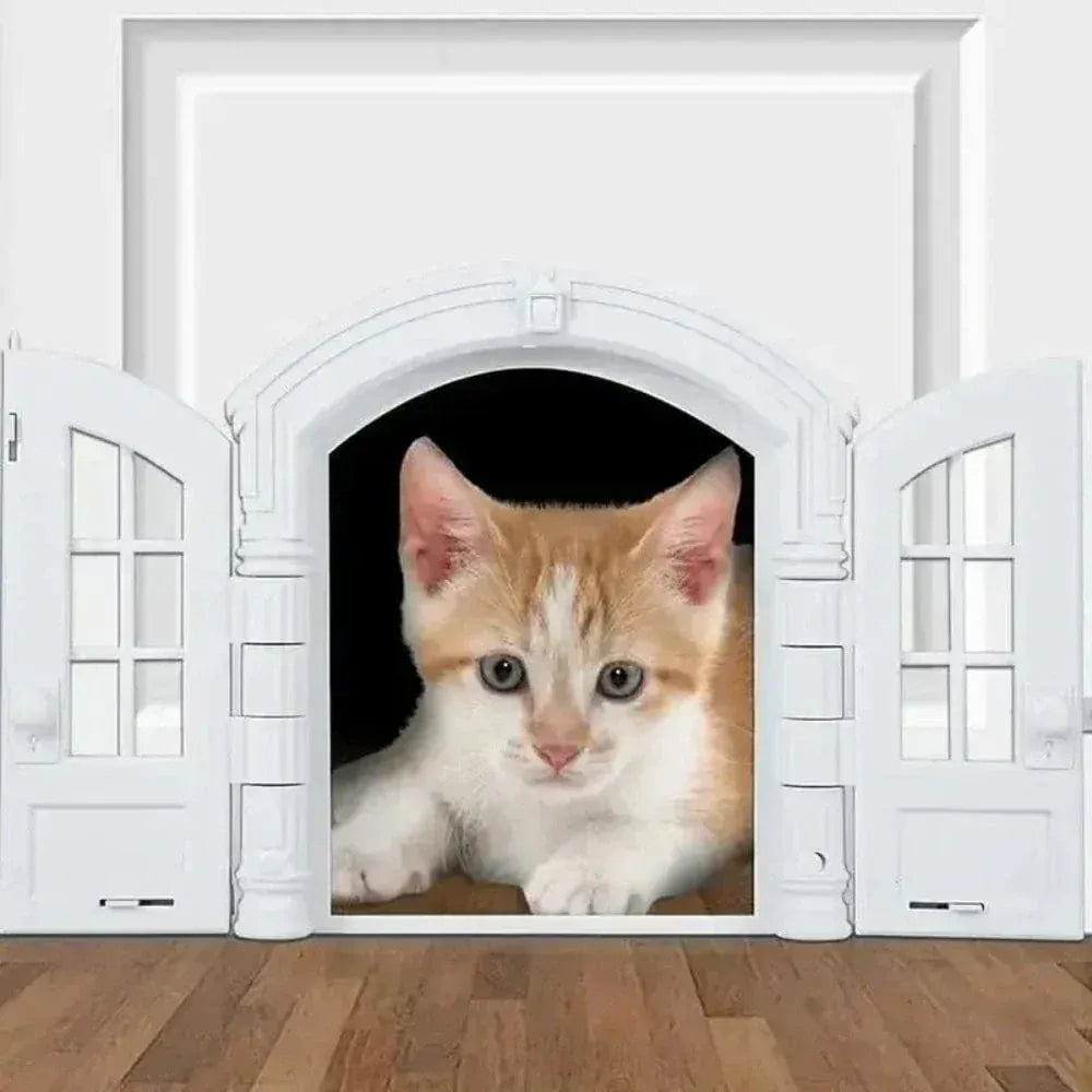 Cat door for wall