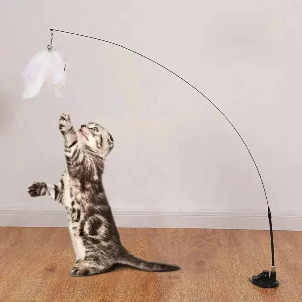 Cat feather toy with suction cup