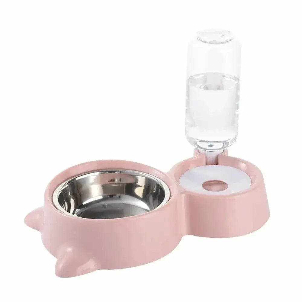 Cat food and water bowl
