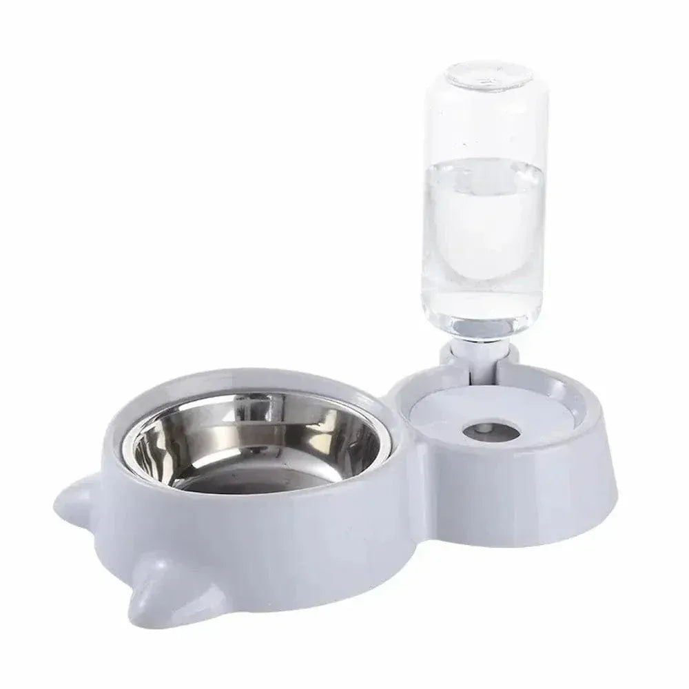 Cat food and water bowl