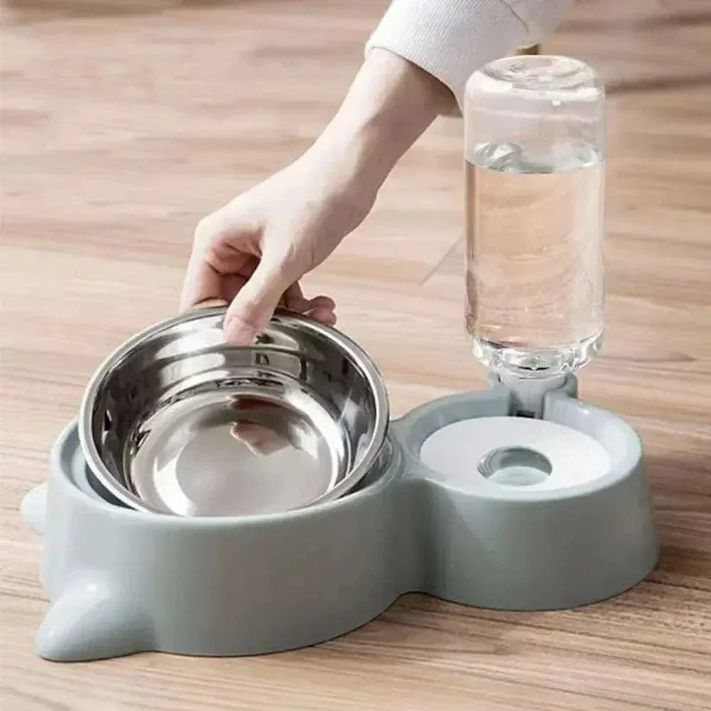 Cat food and water bowl