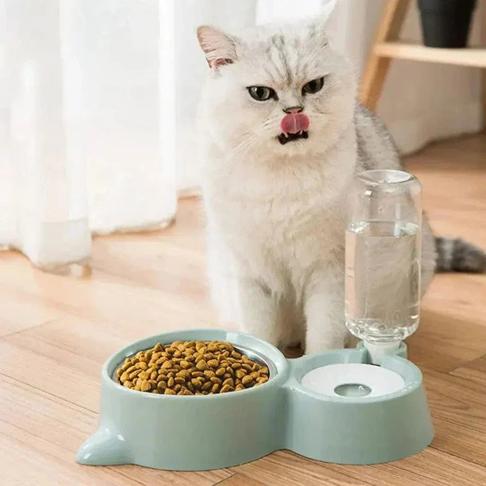 Cat food and water bowl