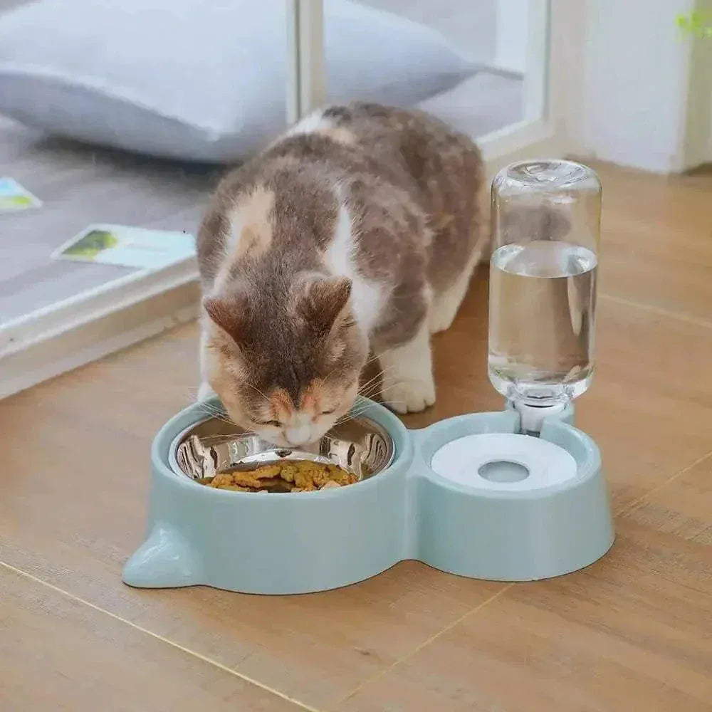 Cat food and water bowl