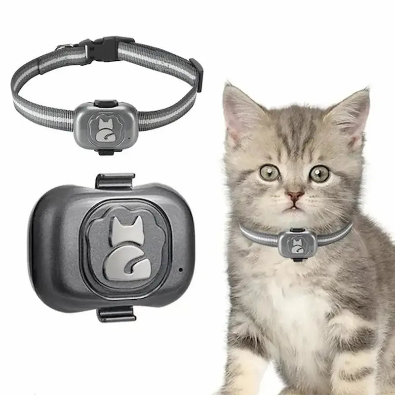 Cat GPS Tracker
