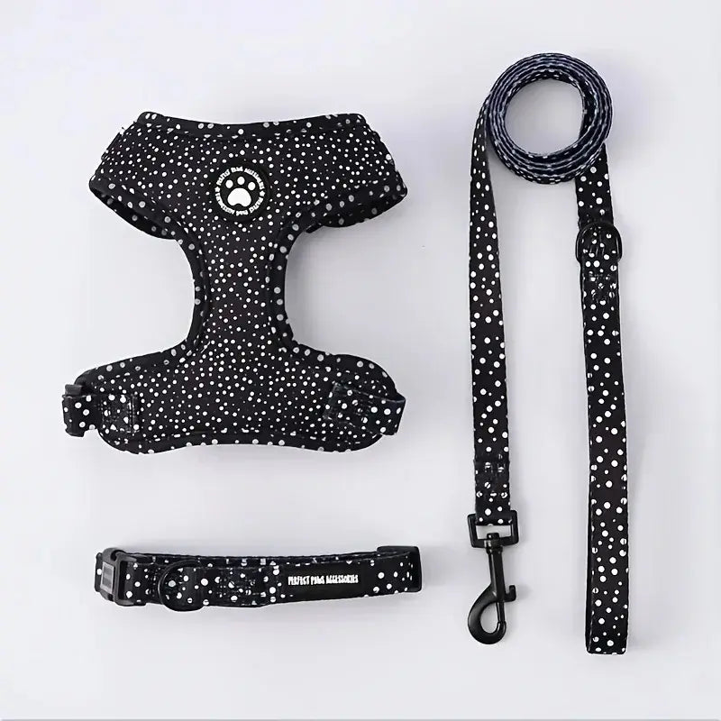 Cat harness with fashion leash