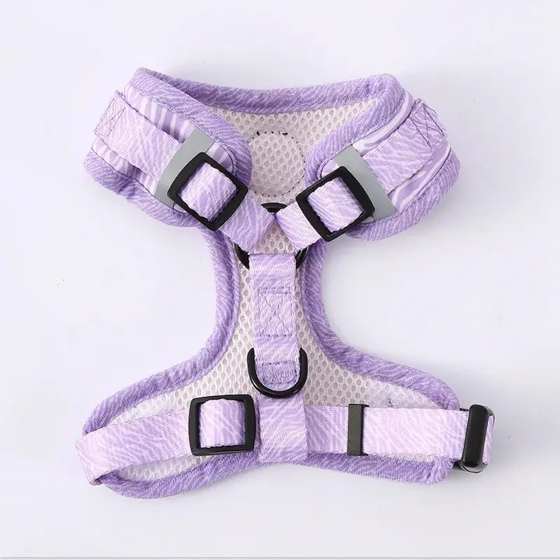 Cat harness with fashion leash