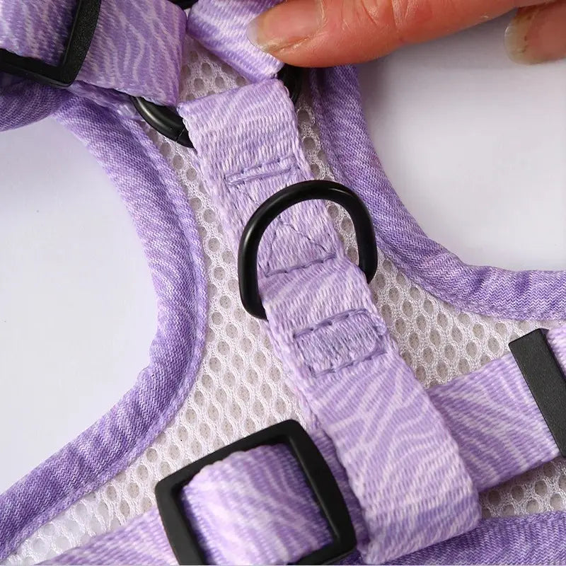 Cat harness with fashion leash