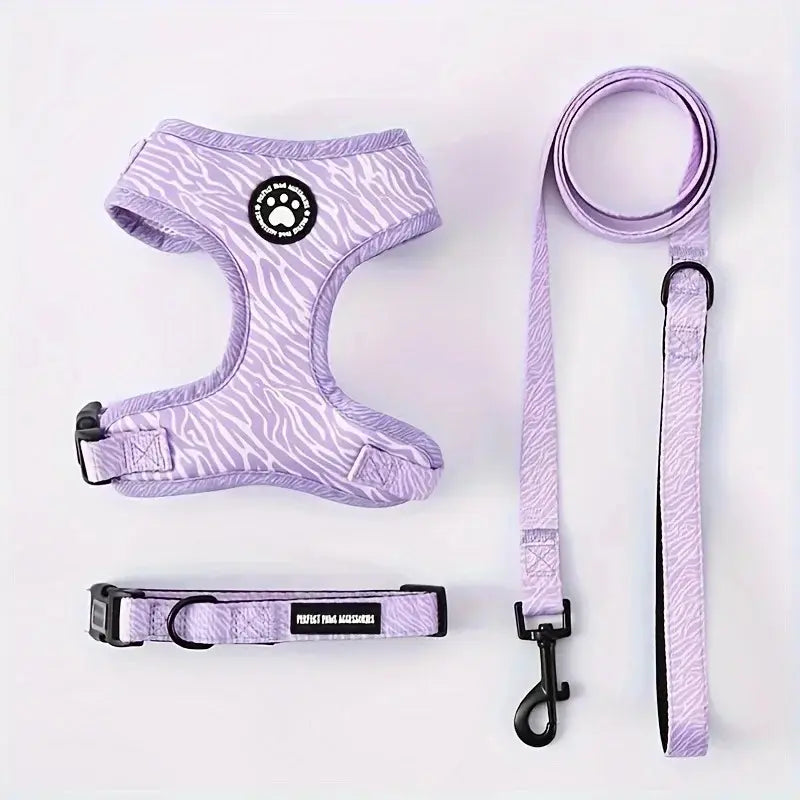 Cat harness with fashion leash