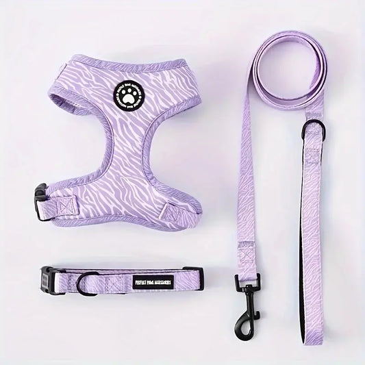 Cat harness with fashion leash