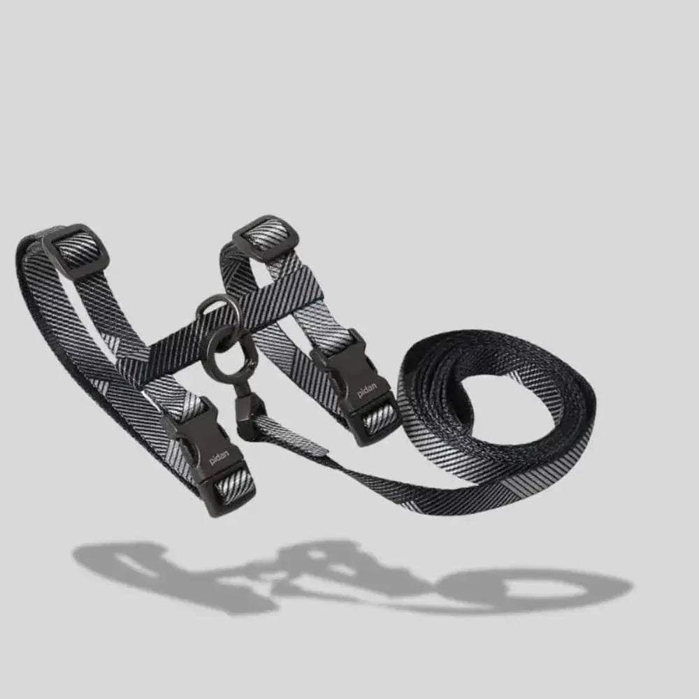 Cat harness with leash