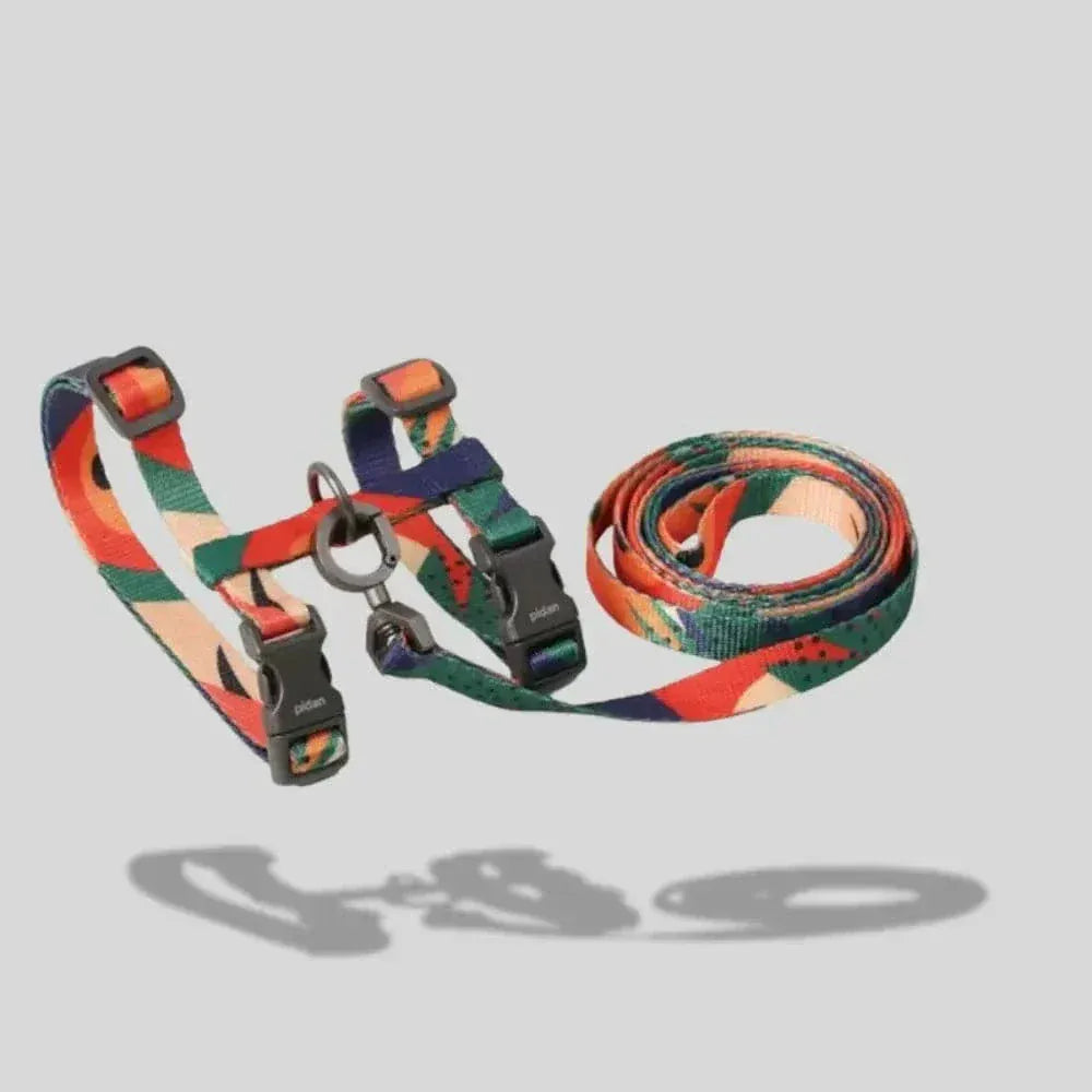 Cat harness with leash