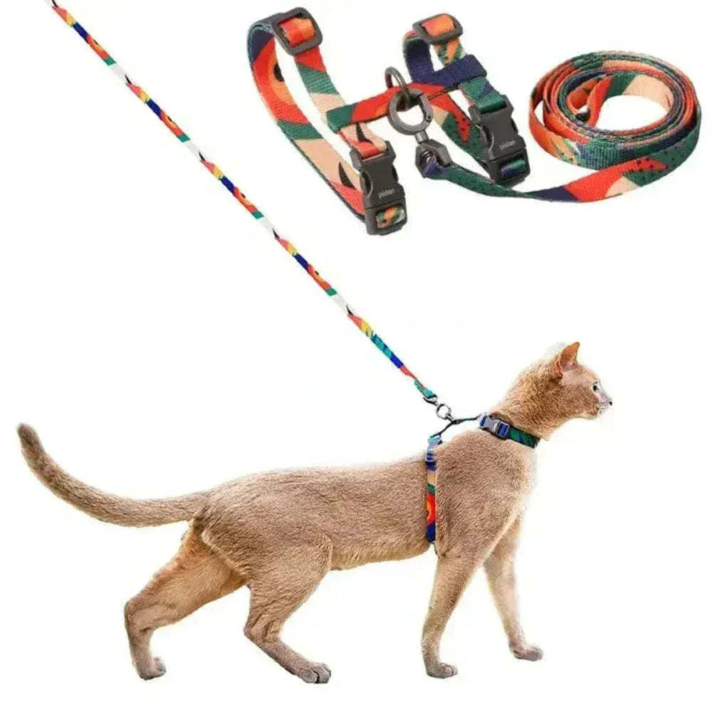 Cat harness with leash