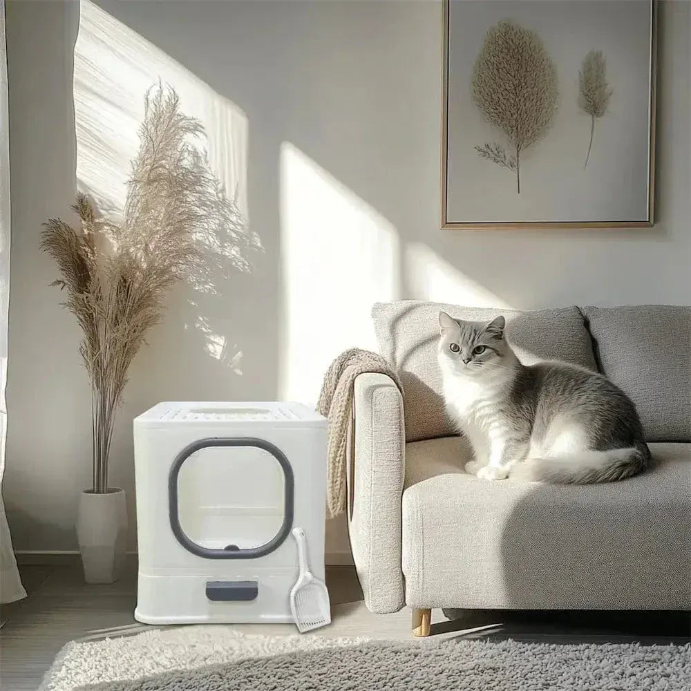 Cat Litter House Odor Control – Clean & Fresh Home Every Day