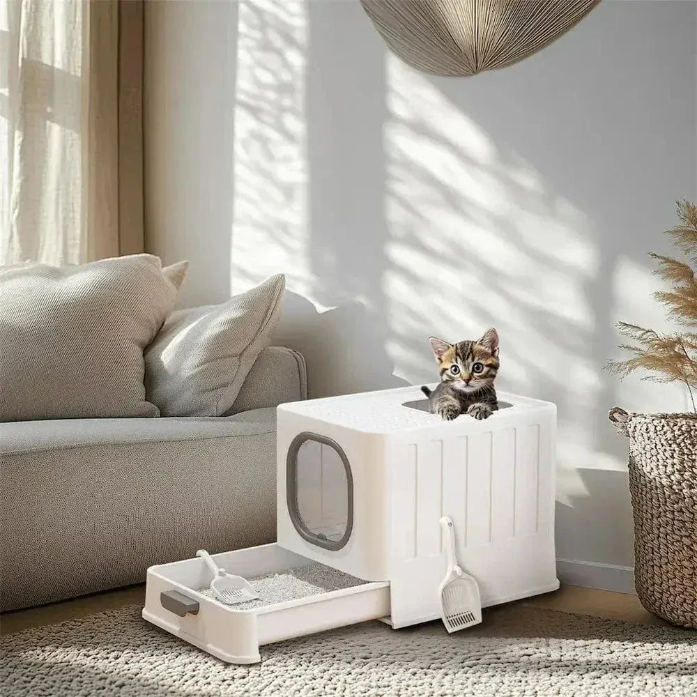 Cat Litter House Odor Control – Clean & Fresh Home Every Day