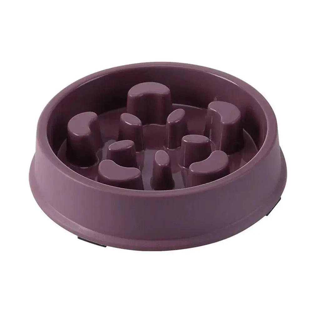 Cat maze bowl