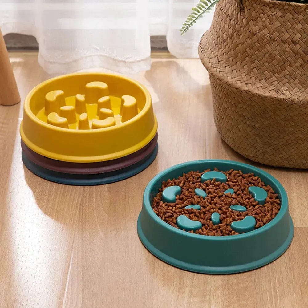 Cat maze bowl
