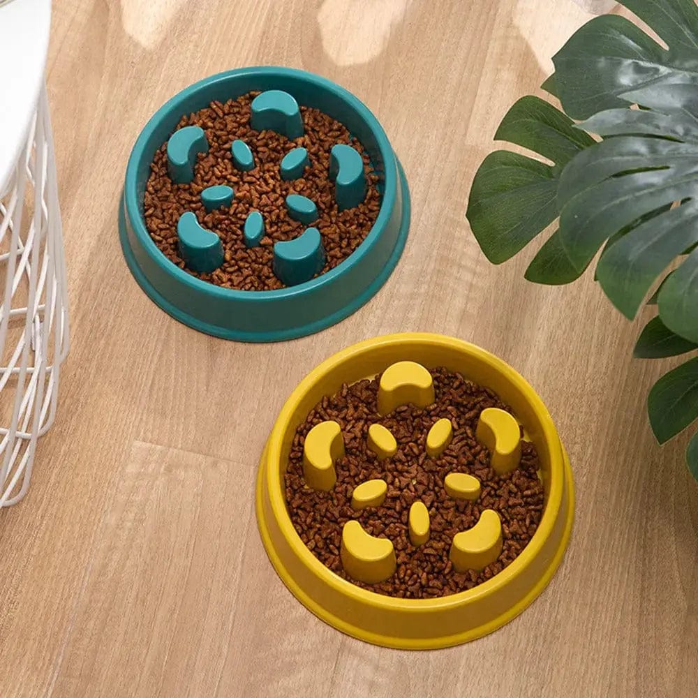 Cat maze bowl