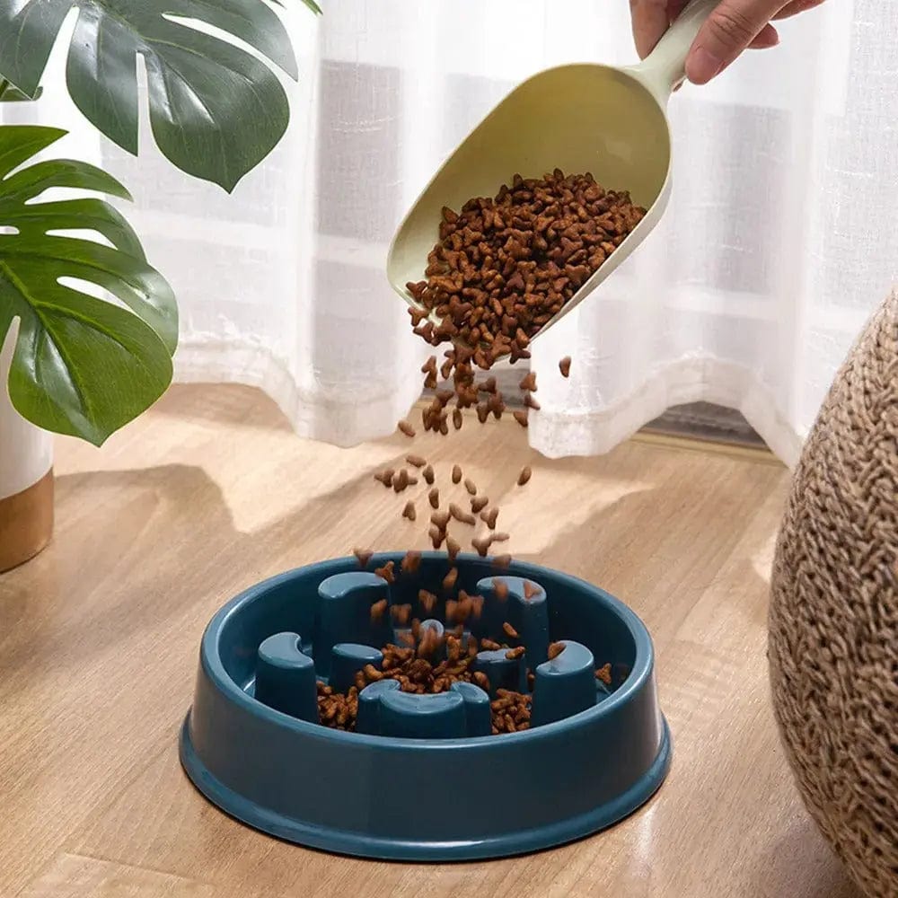 Cat maze bowl