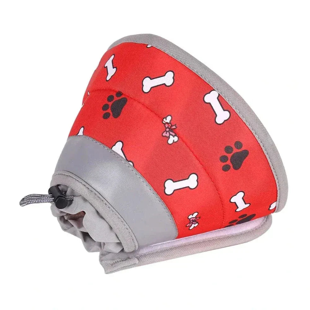 Cat Recovery Collar – Comfort & Protection