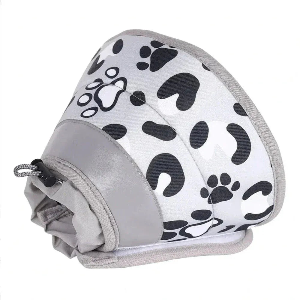 Cat Recovery Collar – Comfort & Protection