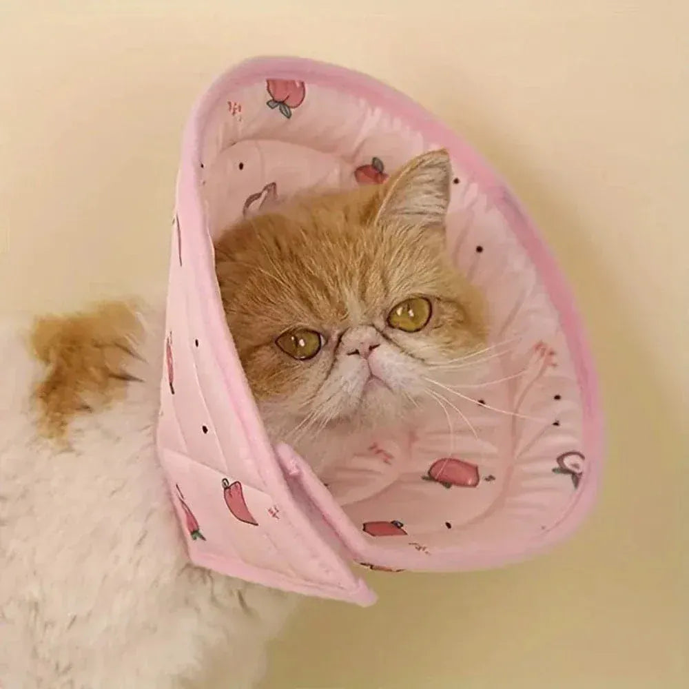 Cat Recovery Collar – Comfort & Protection