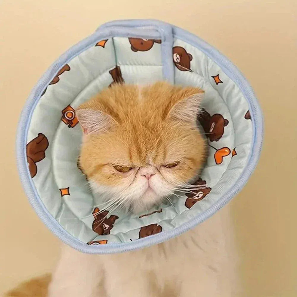 Cat Recovery Collar – Comfort & Protection