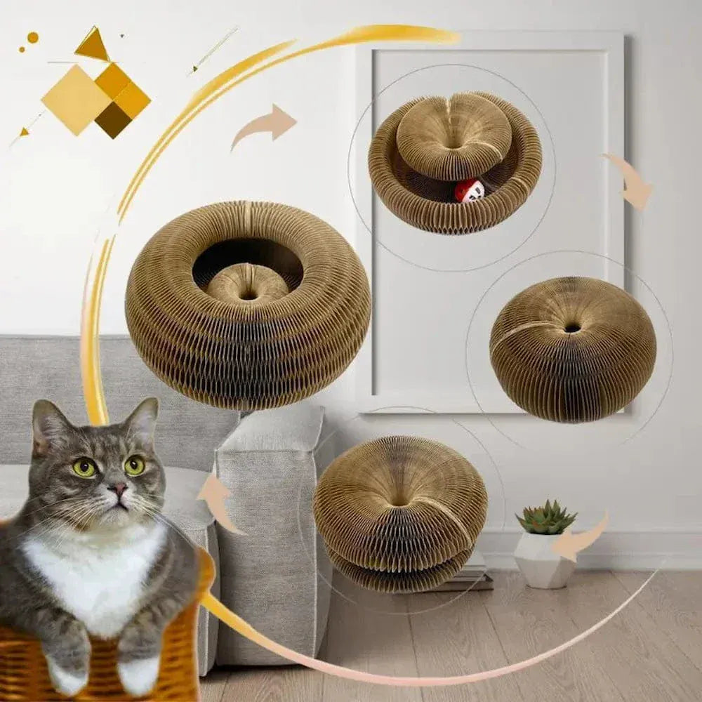 Cat scratcher toy with ball