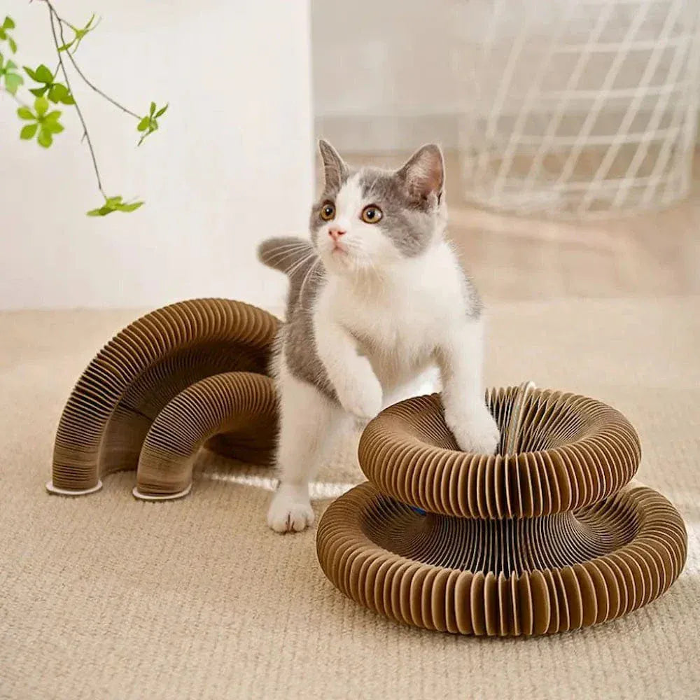 Cat scratcher toy with ball