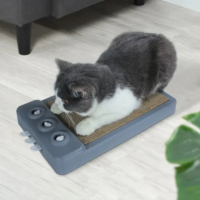 Cat Scratching Board – Protect Furniture in Style