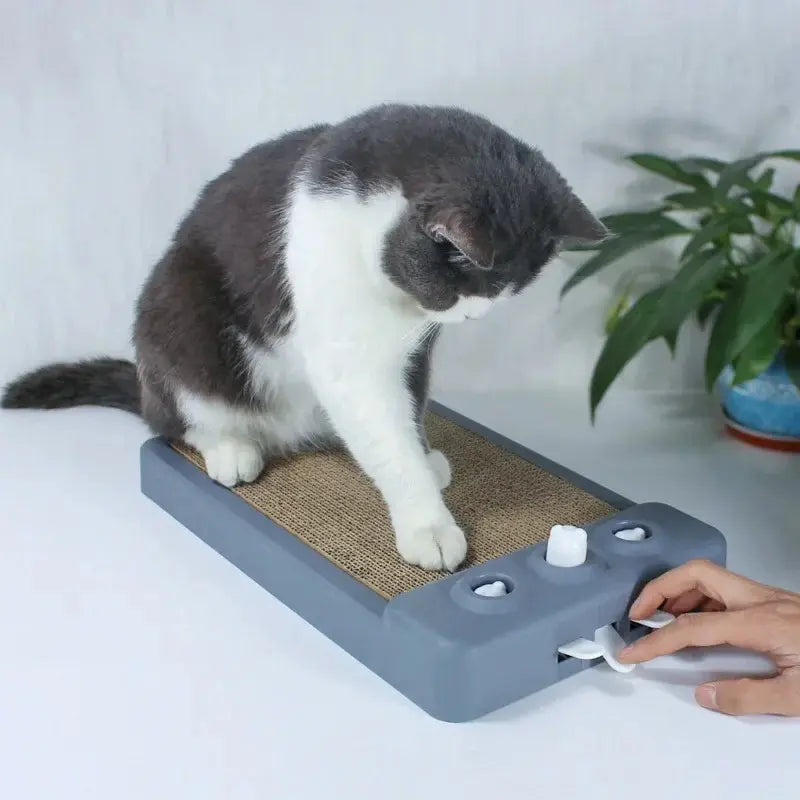 Cat Scratching Board – Protect Furniture in Style