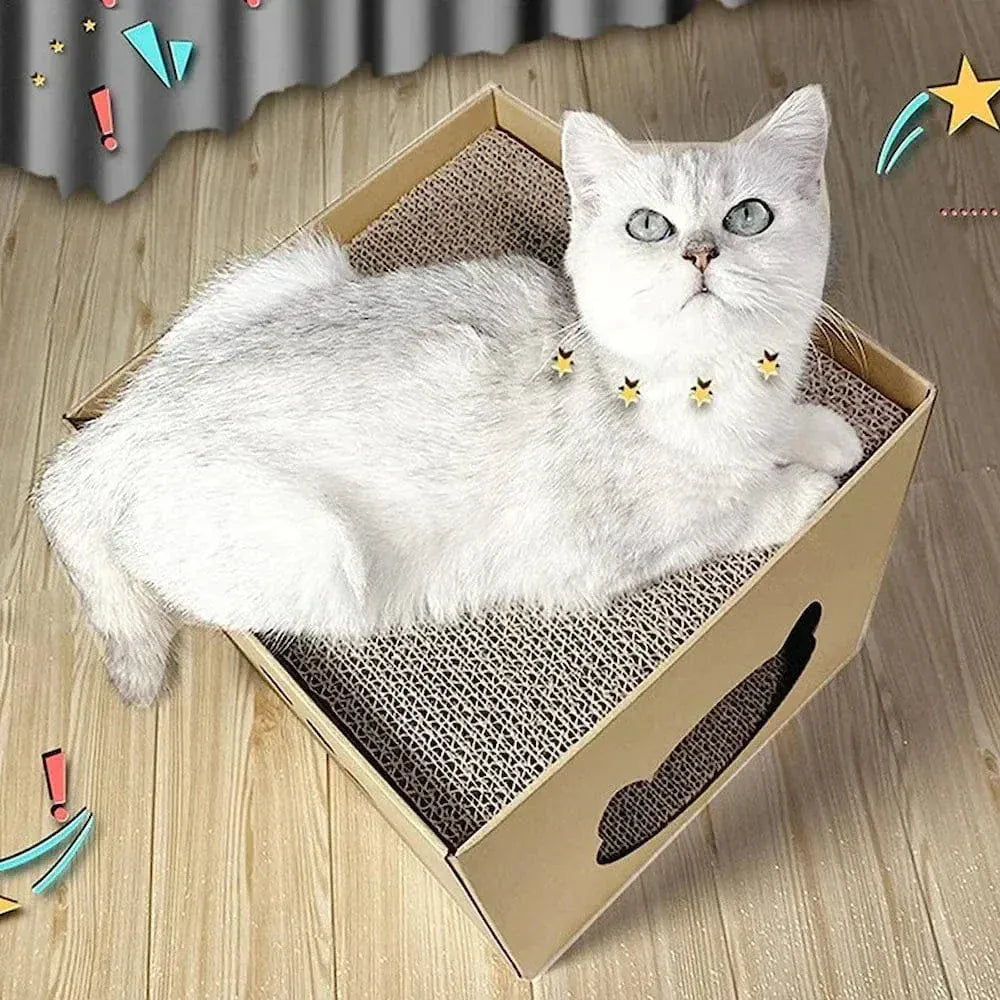 Cat scratching box