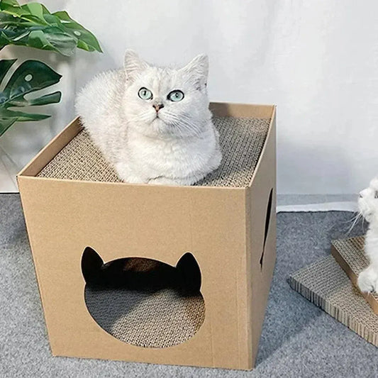Cat scratching box