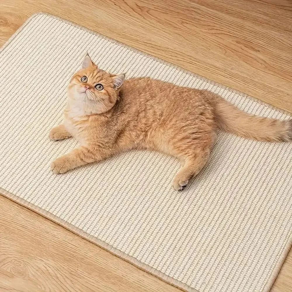 Cat Scratching Mat