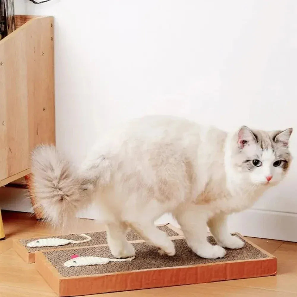 Cat scratching mouse