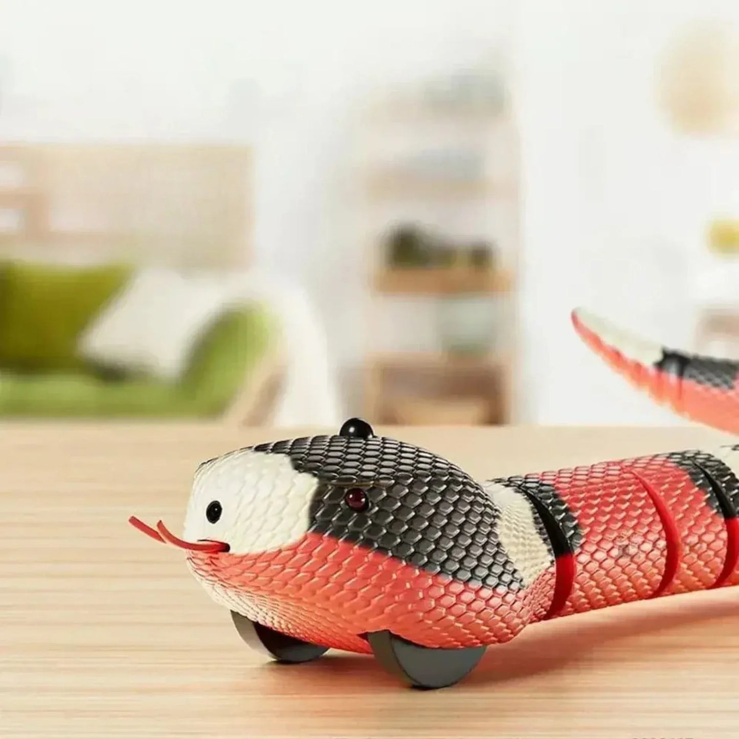 Cat snake toy