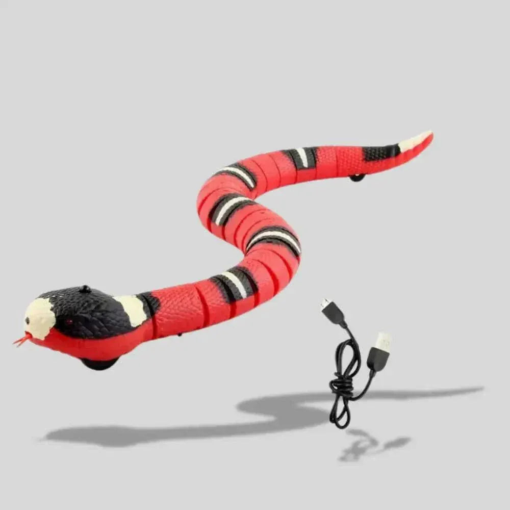 Cat snake toy