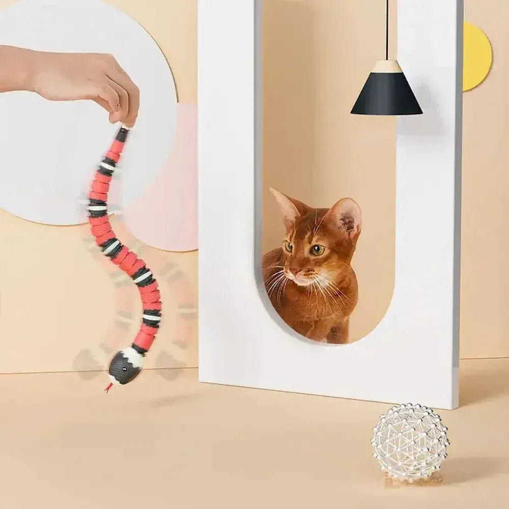 Cat snake toy